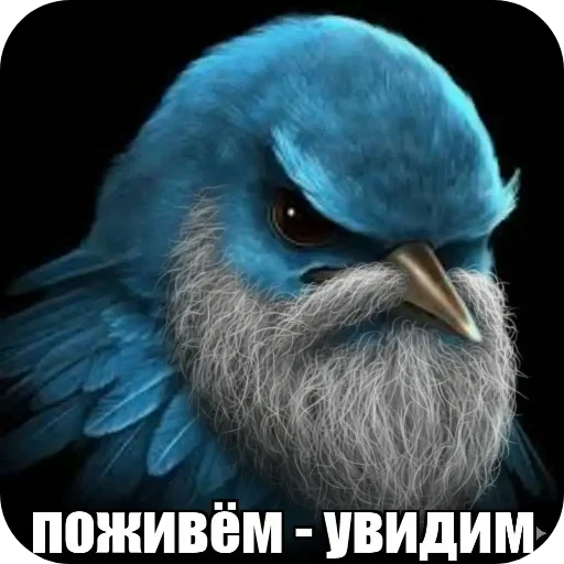 🐦 Стикер «Вряд-ли» для Telegram
