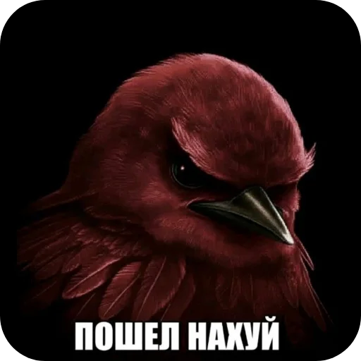 🐦 Стикер «Вряд-ли» для Telegram