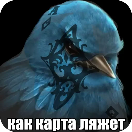 🖼 Стикер «Вряд-ли» для Telegram
