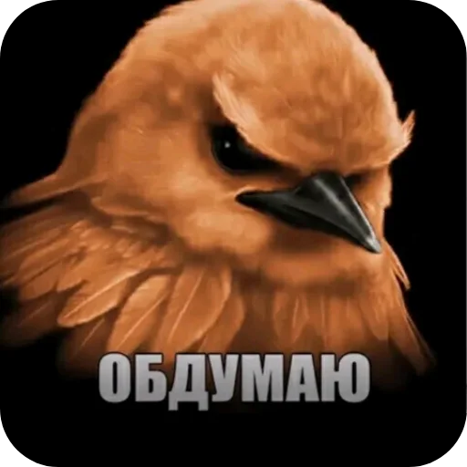 🐦 Стикер «Вряд-ли» для Telegram