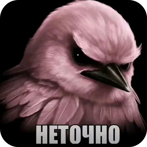 🐦 Стикер «Вряд-ли» для Telegram