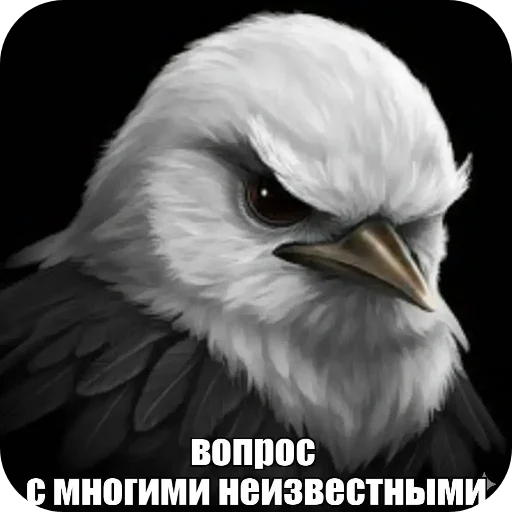 🐦 Стикер «Вряд-ли» для Telegram
