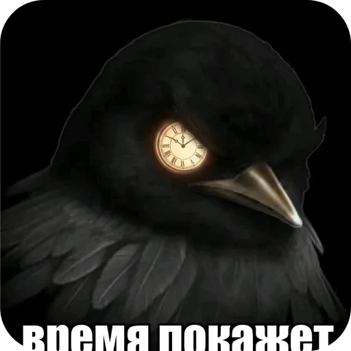 🖼 Стикер «Вряд-ли» для Telegram