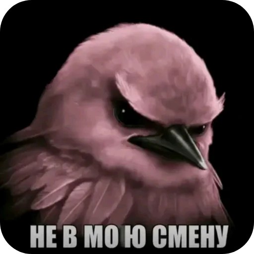 🐦 Стикер «Вряд-ли» для Telegram