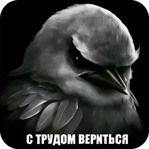 👍 Стикер «Вряд-ли» для Telegram