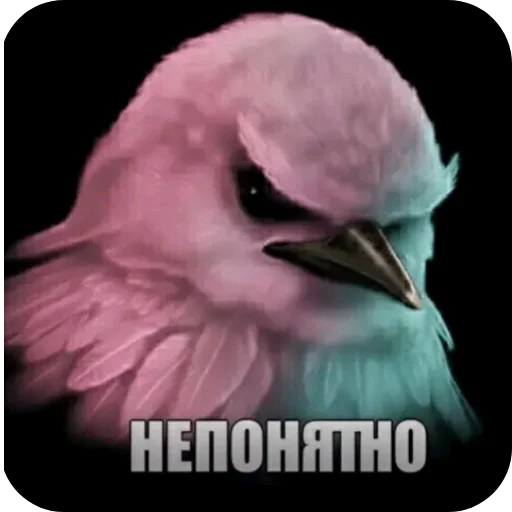 🐦 Стикер «Вряд-ли» для Telegram