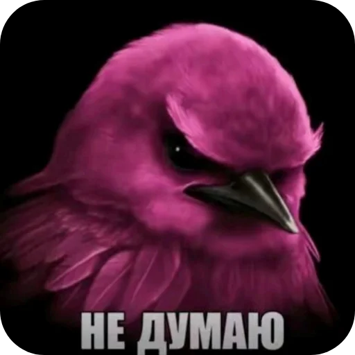 🌸 Стикер «Вряд-ли» для Telegram