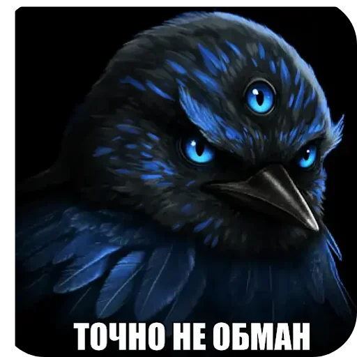 🐦 Стикер «Вряд-ли» для Telegram