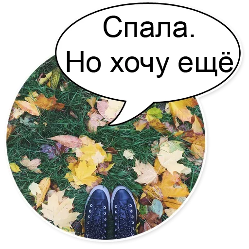 😴 Стикер «Шок Шлёп и всем звёздочек» для Telegram