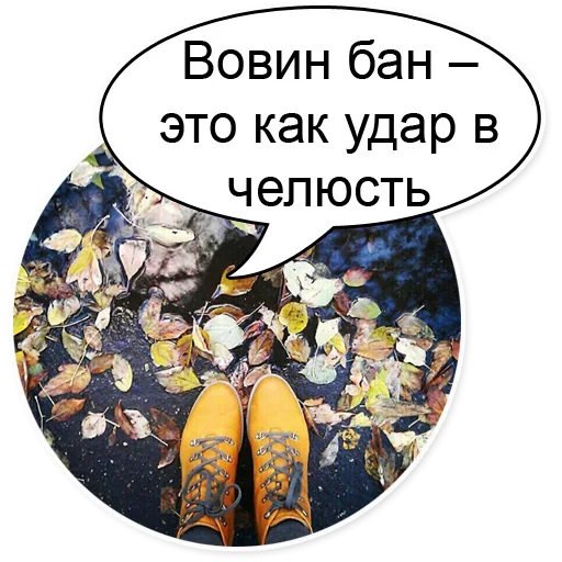 🤜 Стикер «Шок Шлёп и всем звёздочек» для Telegram