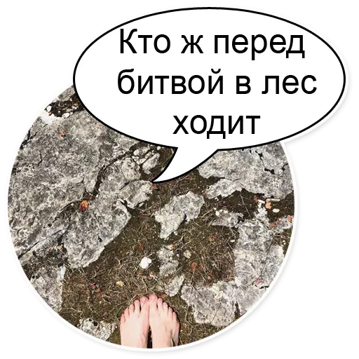 🙀 Стикер «Шок Шлёп и всем звёздочек» для Telegram