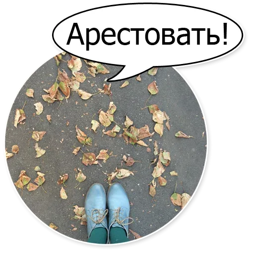 👮‍♀ Стикер «Шок Шлёп и всем звёздочек» для Telegram