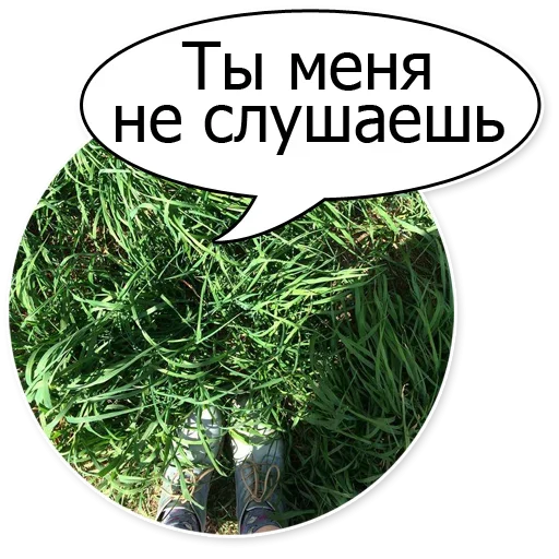 😠 Стикер «Шок Шлёп и всем звёздочек» для Telegram