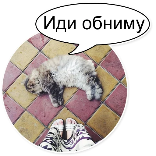 🤗 Стикер «Шок Шлёп и всем звёздочек» для Telegram