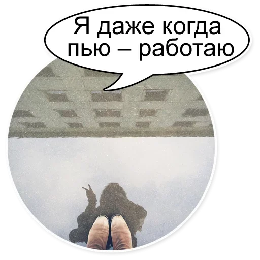 🍷 Стикер «Шок Шлёп и всем звёздочек» для Telegram