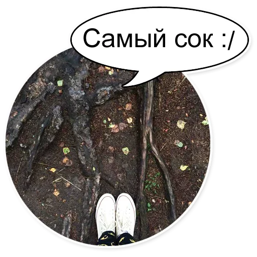 🍑 Стикер «Шок Шлёп и всем звёздочек» для Telegram