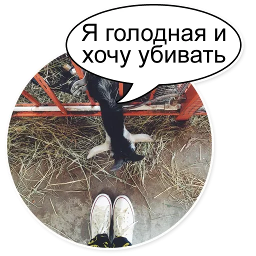 😡 Стикер «Шок Шлёп и всем звёздочек» для Telegram