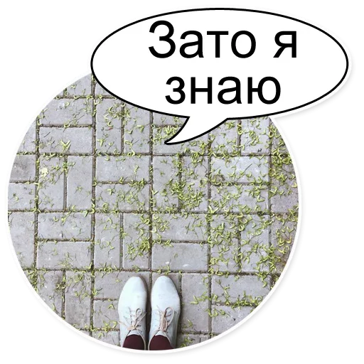🤓 Стикер «Шок Шлёп и всем звёздочек» для Telegram