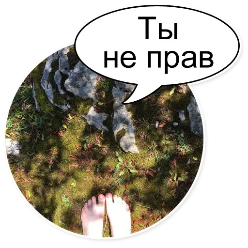 🙄 Стикер «Шок Шлёп и всем звёздочек» для Telegram