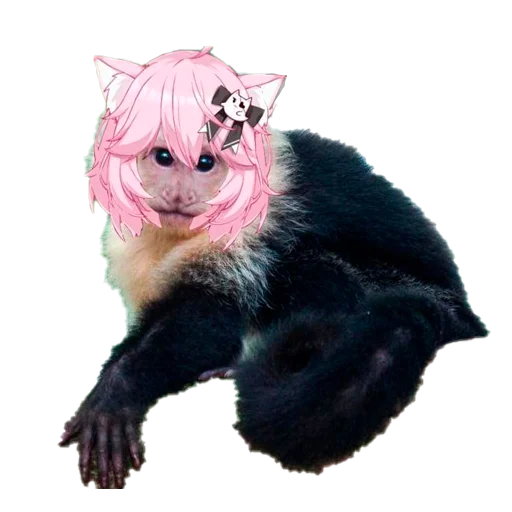 🐵 Стикер «VShojo memes» для Telegram