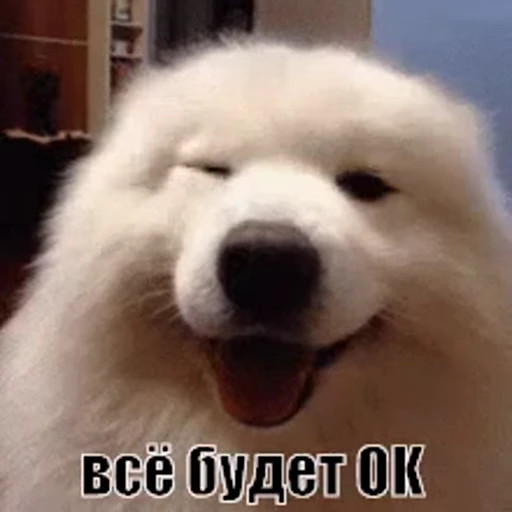 😉 Стикер «Success» для Telegram