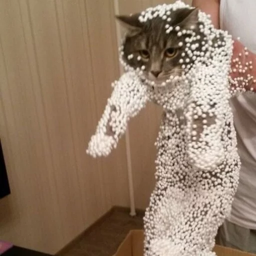 🐱 Стикер «Всратые Коты» для Telegram