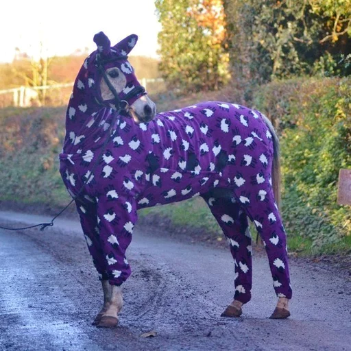 🐴 Стикер «Всратые Коты» для Telegram