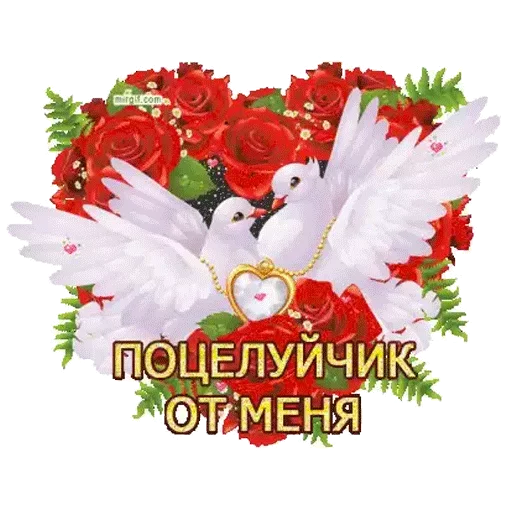 😍 Стикер «Всратые Одноклассники» для Telegram