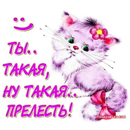 🙄 Стикер «Всратые Одноклассники» для Telegram