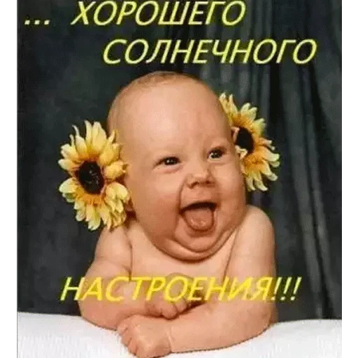😑 Стикер «Всратые Одноклассники» для Telegram
