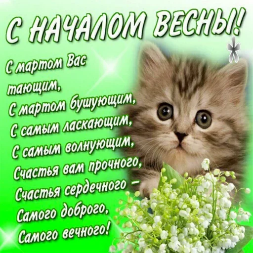 😐 Стикер «Всратые Одноклассники» для Telegram