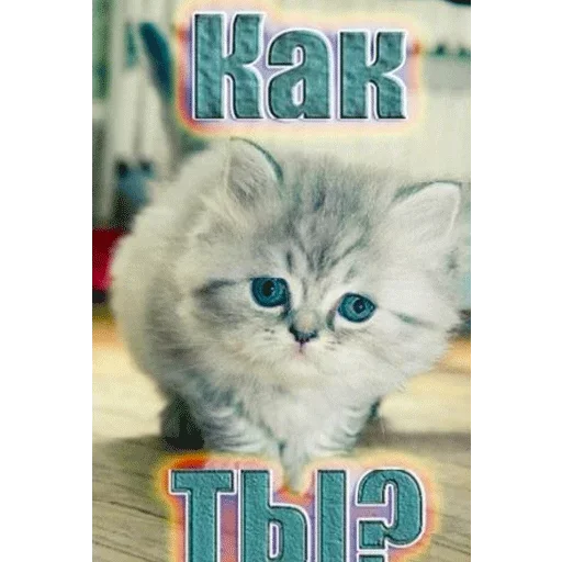 😩 Стикер «Всратые Одноклассники» для Telegram