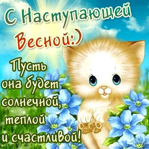 🥵 Стикер «Всратые Одноклассники» для Telegram