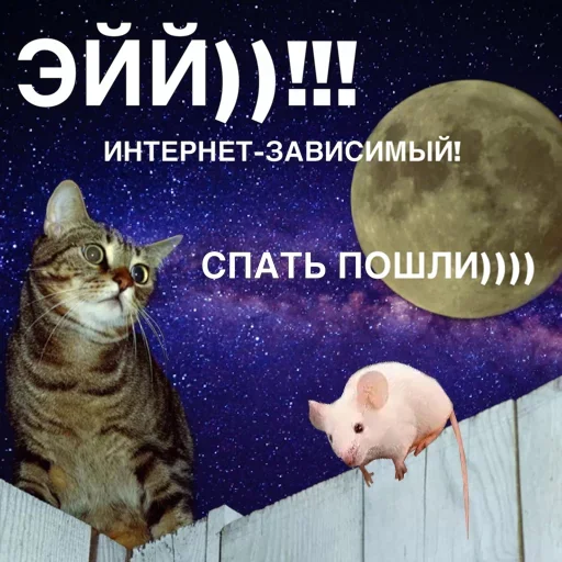 🥱 Стикер «Всратые Одноклассники» для Telegram