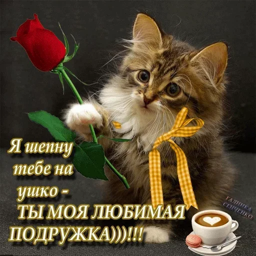 😐 Стикер «Всратые Одноклассники» для Telegram