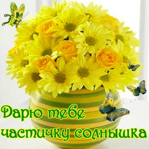 🎁 Стикер «ВсратыеОдноклассники» для Telegram
