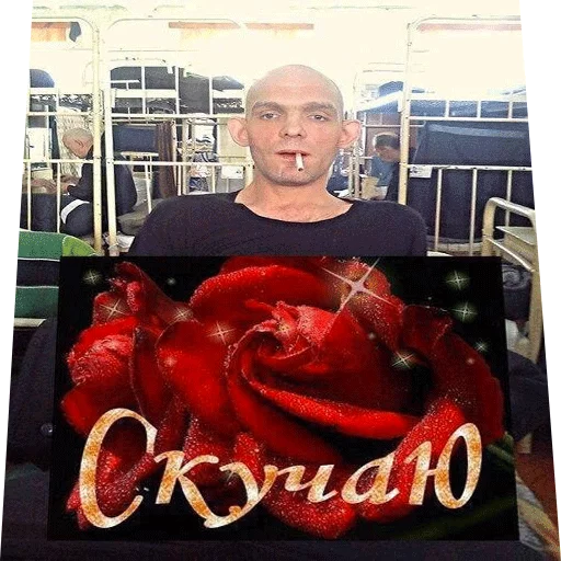 🌹 Стикер «ВсратыеОдноклассники» для Telegram