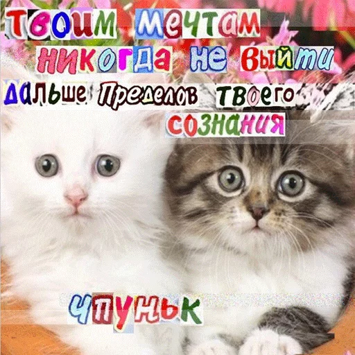 😨 Стикер «ВсратыеОдноклассники» для Telegram