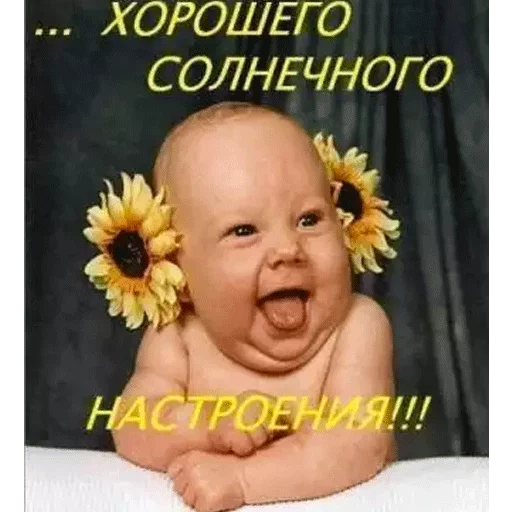 🌻 Стикер «ВсратыеОдноклассники» для Telegram
