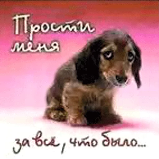 😞 Стикер «ВсратыеОдноклассники» для Telegram