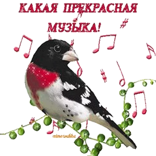 🎼 Стикер «ВсратыеОдноклассники» для Telegram