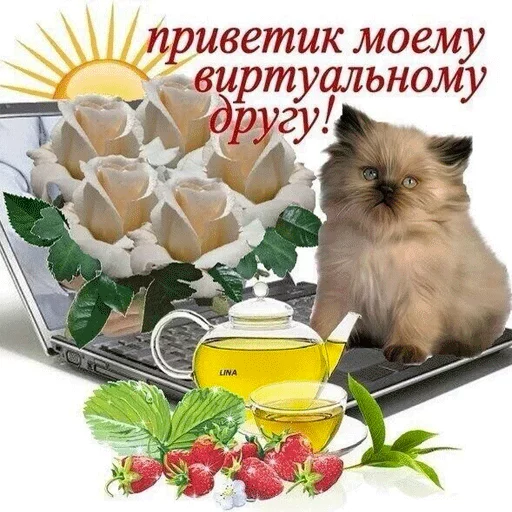 😺 Стикер «ВсратыеОдноклассники» для Telegram