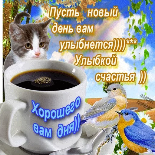 ☕ Стикер «ВсратыеОдноклассники» для Telegram