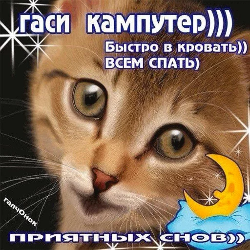 Стикерпак ВсратыеОдноклассники для Telegram