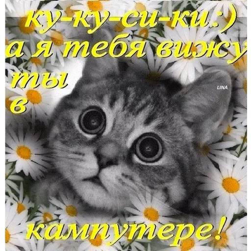 👀 Стикер «ВсратыеОдноклассники» для Telegram