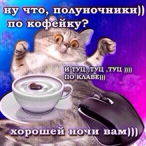 🌚 Стикер «ВсратыеОдноклассники» для Telegram