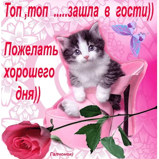👣 Стикер «ВсратыеОдноклассники» для Telegram