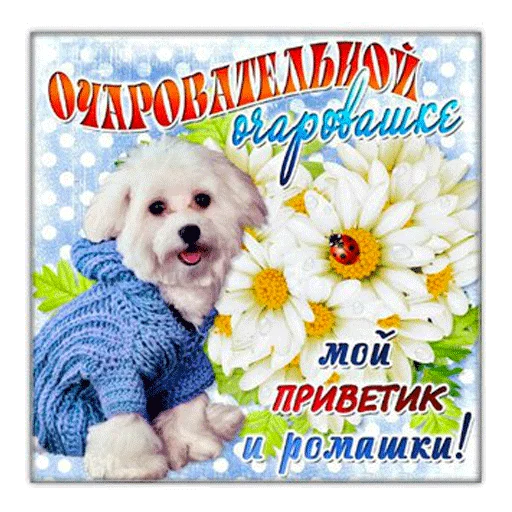 👋 Стикер «ВсратыеОдноклассники» для Telegram