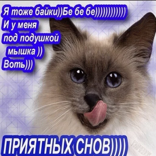 💤 Стикер «ВсратыеОдноклассники» для Telegram