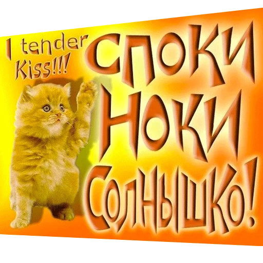 💋 Стикер «ВсратыеОдноклассники» для Telegram